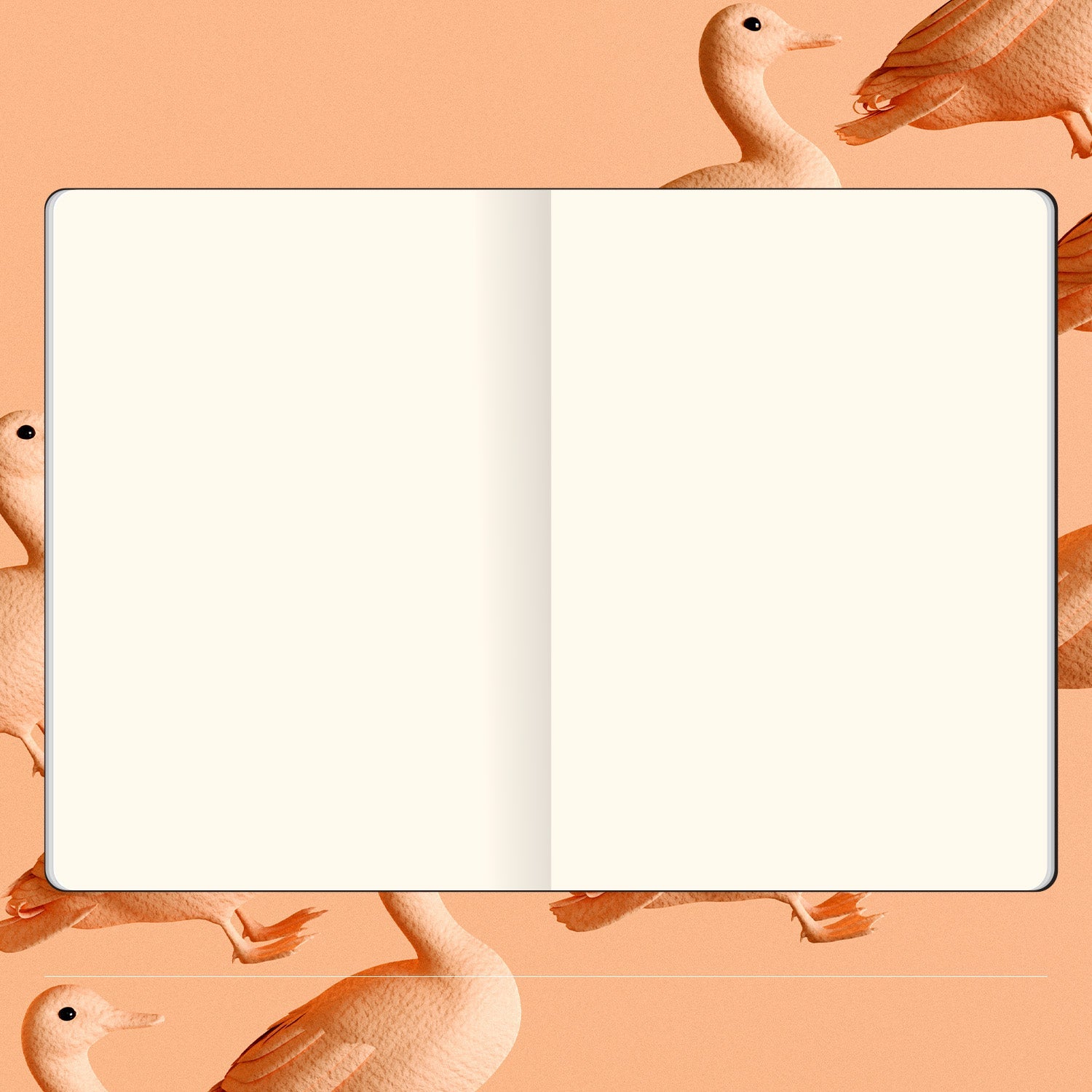 Flexbook | Blank | Large A4 Size Sketchbook | Black | Flex Global Sketchbook