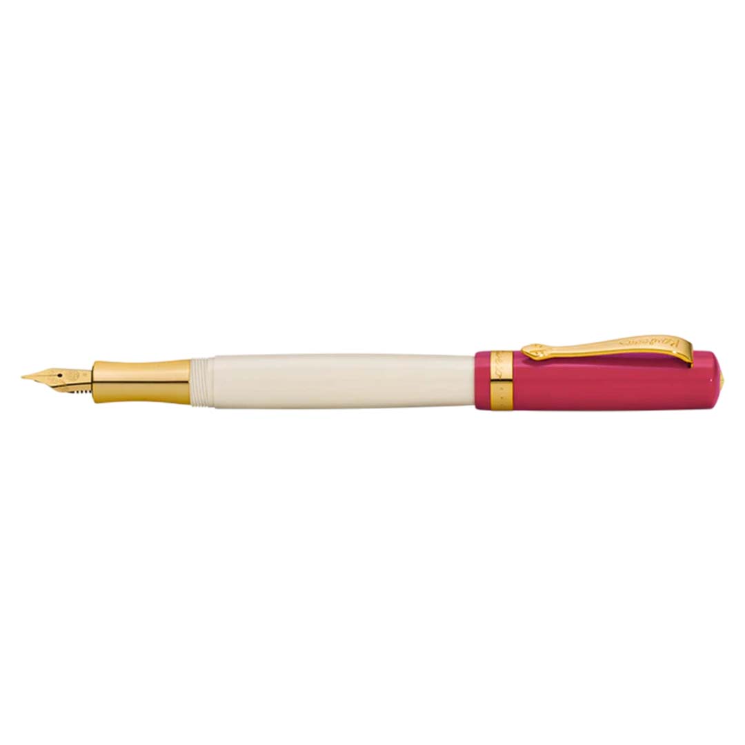 Kaweco STUDENT Fountain Pen 30's Blues