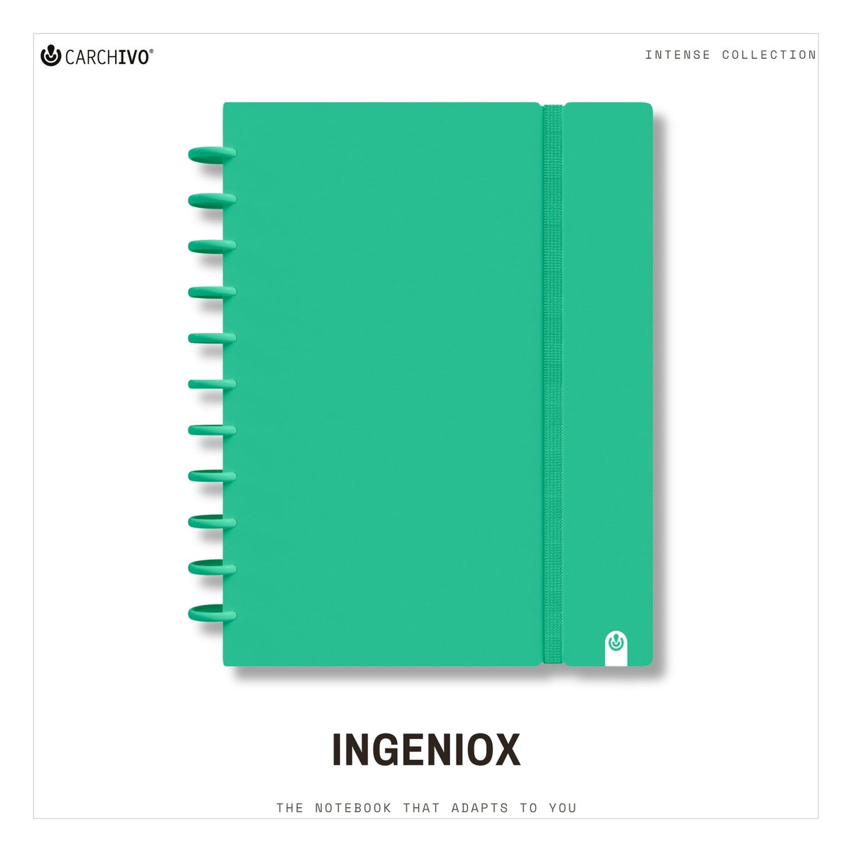 Carchivo Ingeniox A4 Gridded Notebook Intense - Green