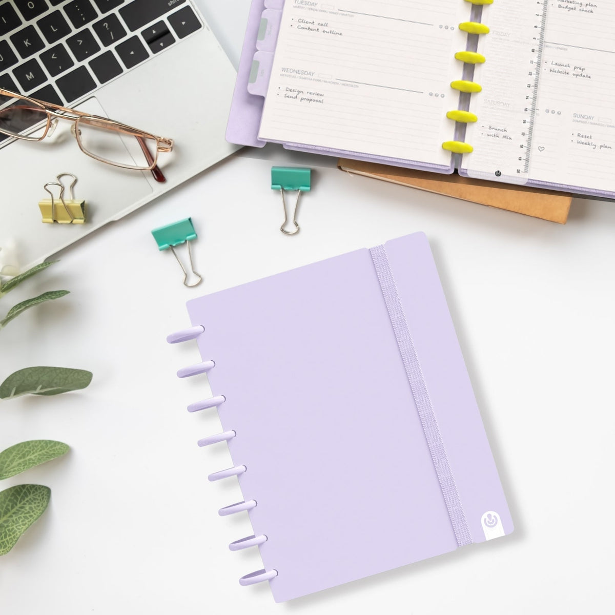 Carchivo Ingeniox A4 Gridded Notebook Pastel - Mauve