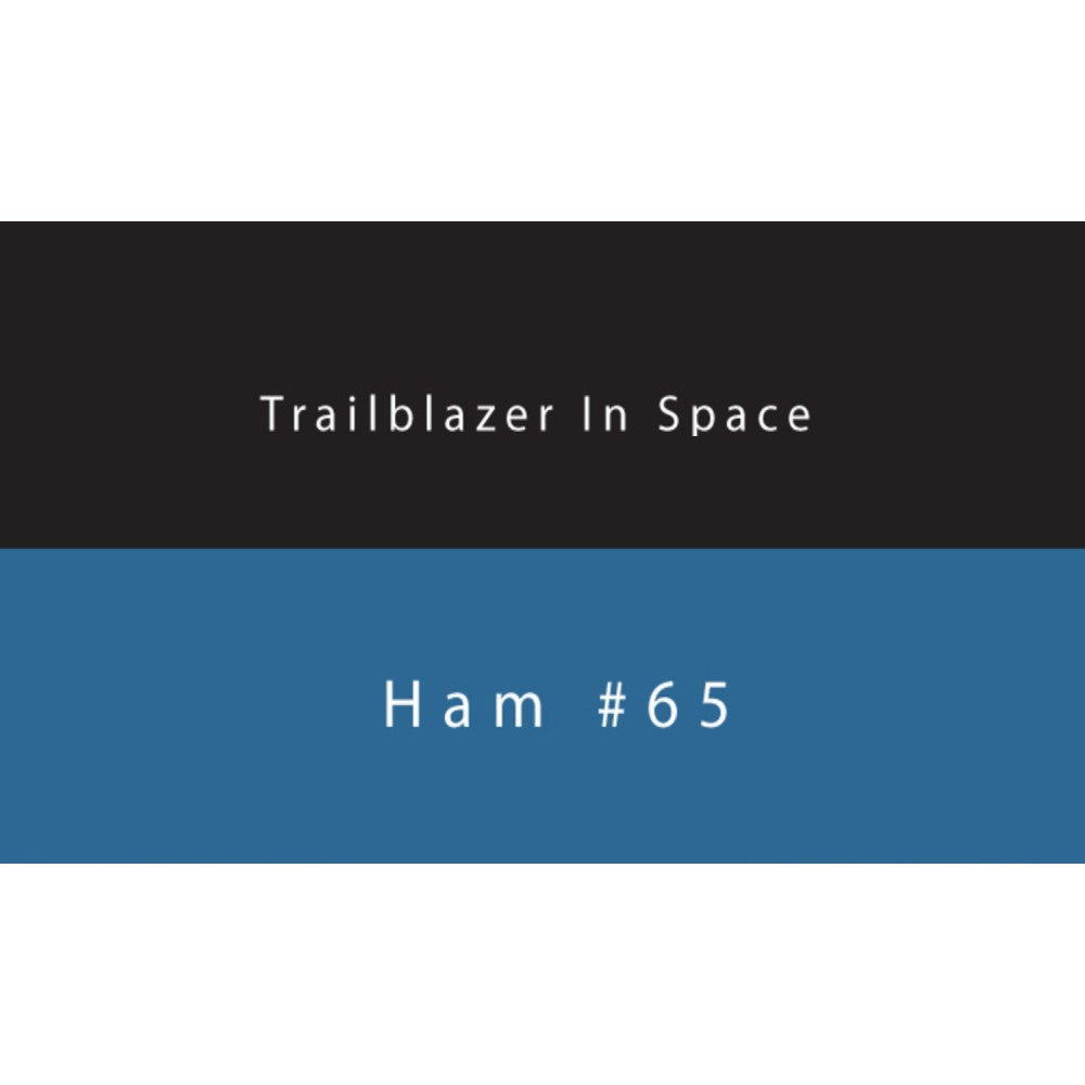 Colorverse Ink | Trailblazer In Space | HAM 65 | Dark Blue | 65ml & 15ml | 2 Bottle Set - penpencilink