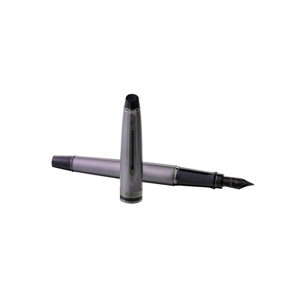 Waterman Expert Metallic Silver with Ruthenium Trim Fountain Pen