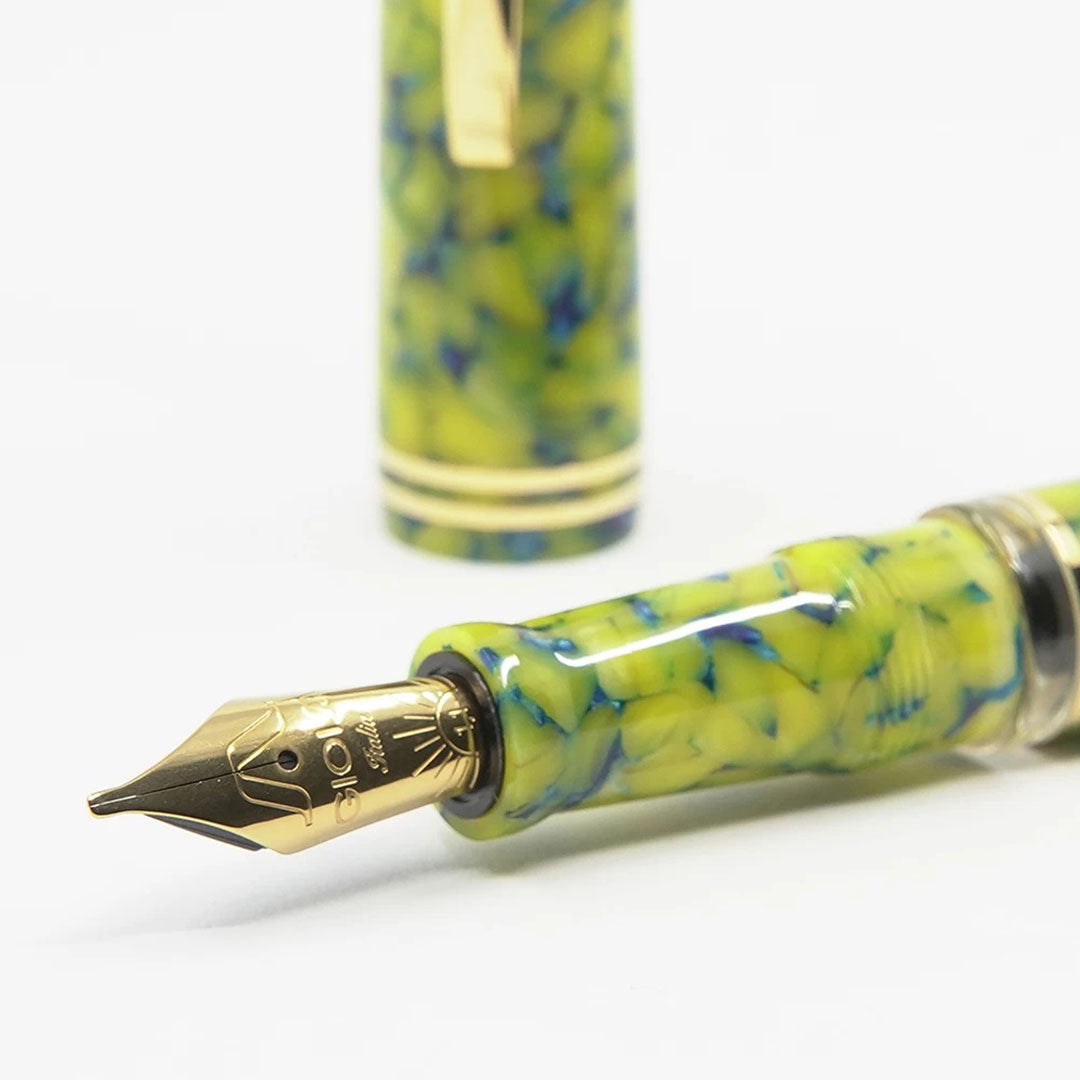 Gioia | Metis Fountain Pen | Colibri | Gold Trims | Stub Nib